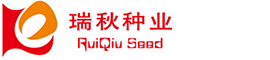 成都御坤收賬公司